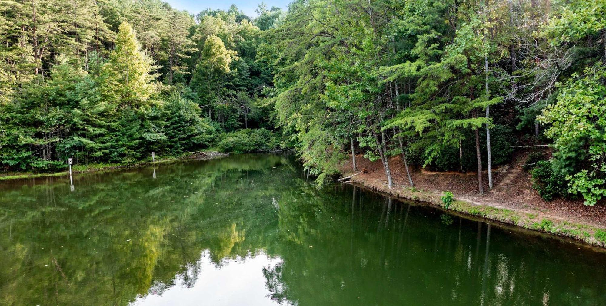 Lakeside Retreat Hot Tub Fishing Hiking Ellijay Exterior photo